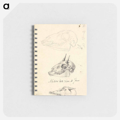 アートメモ帳-Three Animal Skulls
 - ルイージ バルガーニ Memo.