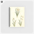 1-78_Maria-Sibylla-Merian_memo