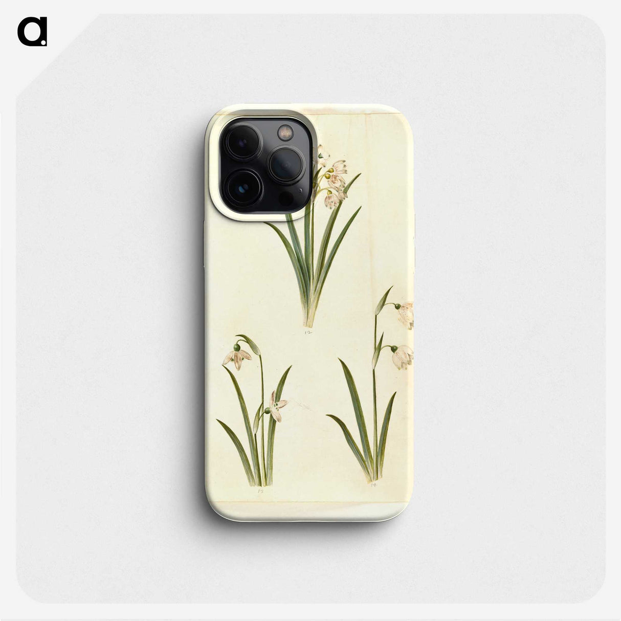1-78_Maria-Sibylla-Merian_phone
