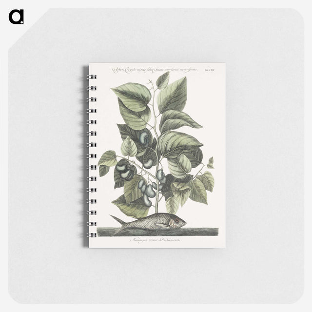 1-78_Mark-Catesby_memo