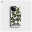 1-78_Mark-Catesby_phone