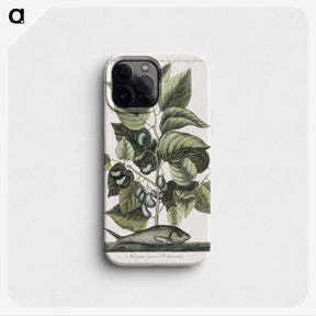 1-78_Mark-Catesby_phone