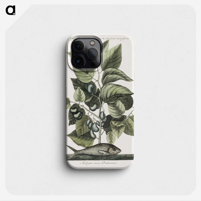 1-78_Mark-Catesby_phone