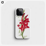 1-78_Mary-Vaux-Walcott_phone