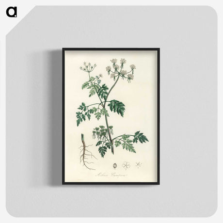 1-78_Medical-Botany_blk-crop