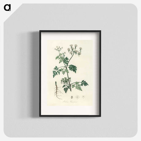 1-78_Medical-Botany_blk