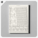 1-78_Monuments-of-Egypt-and-Nubia_canvas