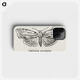 1-78_Moths-and-Butterflies-of-the-United-States_phone