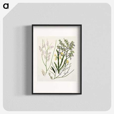 1-78_Native-Flowering-Plants-of-New-Zealand_blk