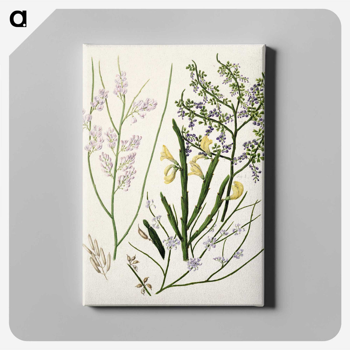 1-78_Native-Flowering-Plants-of-New-Zealand_canvas