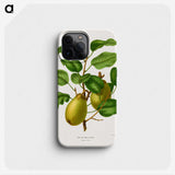 1-78_Nederlandsche-Flora-en-Pomona_phone