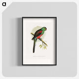 1-78_Parrots-in-Captivity_blk