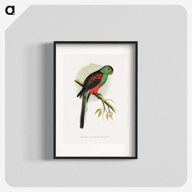 1-78_Parrots-in-Captivity_blk