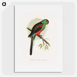 1-78_Parrots-in-Captivity_picture