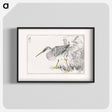アートポスター-Eastern Whimbrel and Wisteria Vine
 - 鳥類図鑑 Poster.