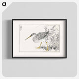 アートポスター-Eastern Whimbrel and Wisteria Vine
 - 鳥類図鑑 Poster.