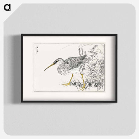 アートポスター-Eastern Whimbrel and Wisteria Vine
 - 鳥類図鑑 Poster.