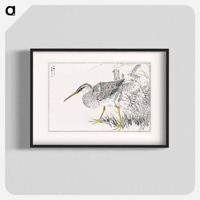 アートポスター-Eastern Whimbrel and Wisteria Vine
 - 鳥類図鑑 Poster.