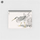 アートメモ帳-Eastern Whimbrel and Wisteria Vine
 - 鳥類図鑑 Memo.
