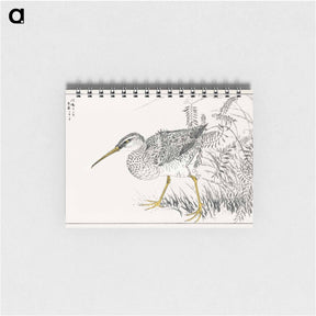 アートメモ帳-Eastern Whimbrel and Wisteria Vine
 - 鳥類図鑑 Memo.