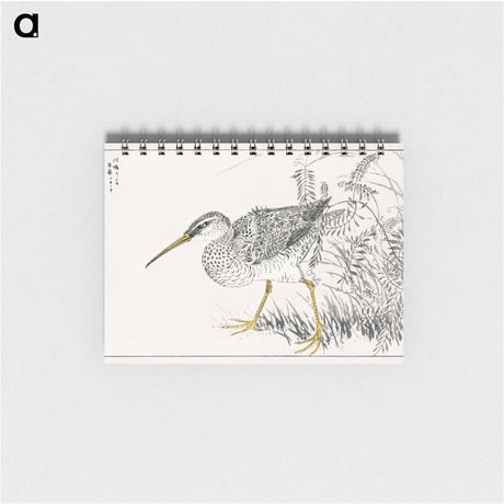 アートメモ帳-Eastern Whimbrel and Wisteria Vine
 - 鳥類図鑑 Memo.