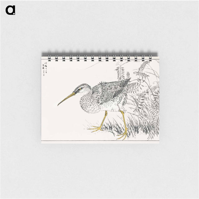 アートメモ帳-Eastern Whimbrel and Wisteria Vine
 - 鳥類図鑑 Memo.