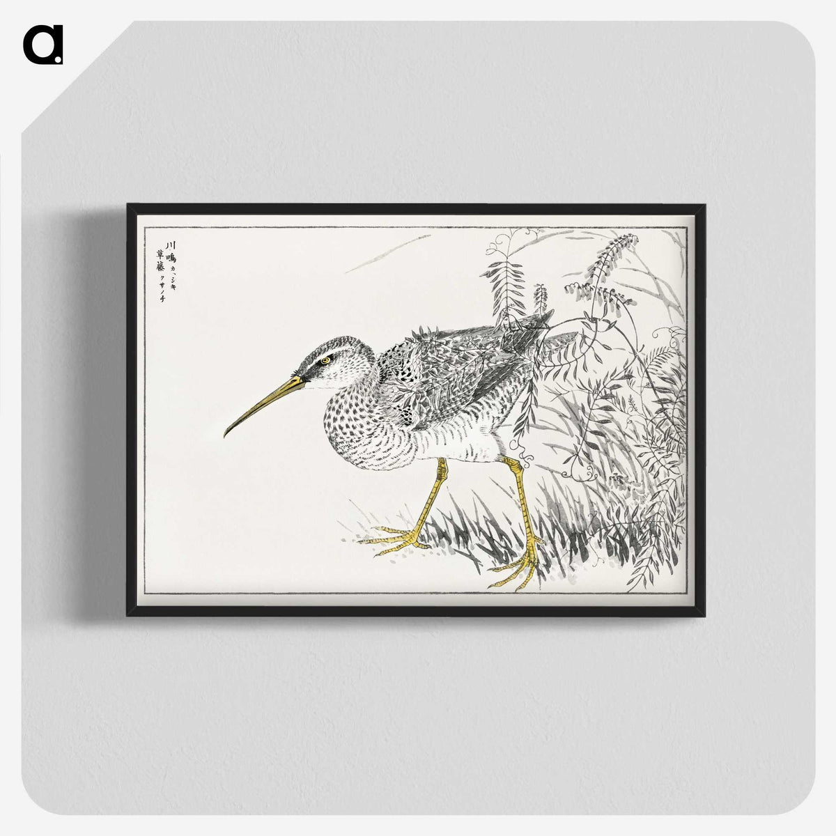1-78_Pictorial-Monograph-of-Birds_blk-crop
