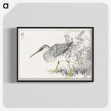 1-78_Pictorial-Monograph-of-Birds_blk-crop