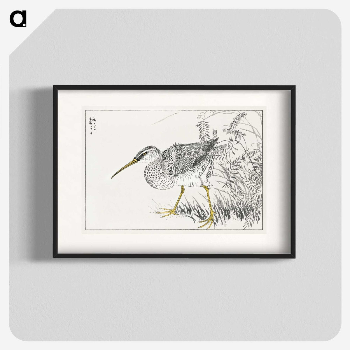 1-78_Pictorial-Monograph-of-Birds_blk