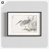 1-78_Pictorial-Monograph-of-Birds_blk