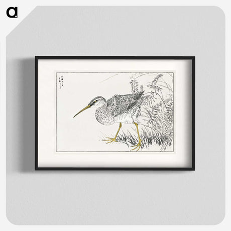 1-78_Pictorial-Monograph-of-Birds_blk