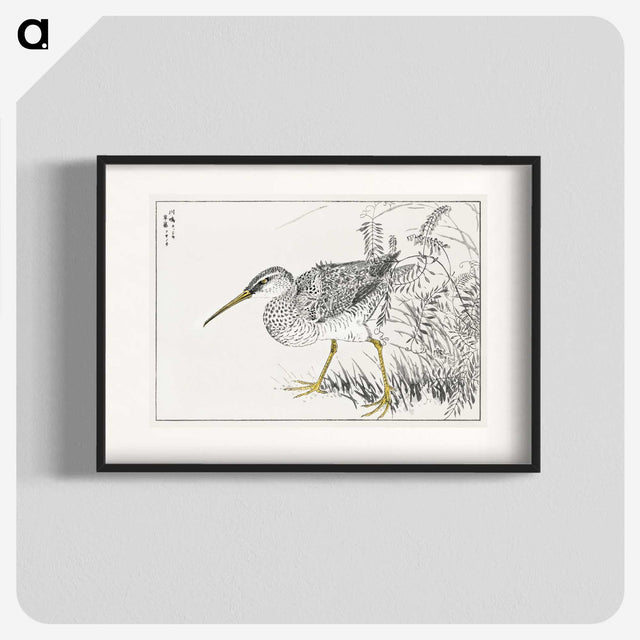 1-78_Pictorial-Monograph-of-Birds_blk