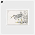1-78_Pictorial-Monograph-of-Birds_hagaki
