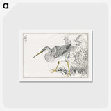 1-78_Pictorial-Monograph-of-Birds_hagaki