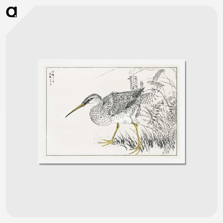 1-78_Pictorial-Monograph-of-Birds_hagaki