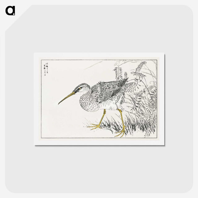 1-78_Pictorial-Monograph-of-Birds_hagaki
