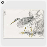 1-78_Pictorial-Monograph-of-Birds_picture-crop