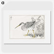 1-78_Pictorial-Monograph-of-Birds_picture