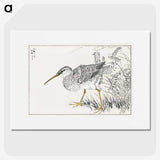 1-78_Pictorial-Monograph-of-Birds_picture