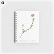 1-78_Pierre-Joseph-Redoute_memo