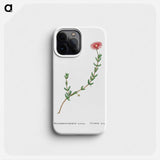 Mesembryanthemum Barbatum (Bearded Fig–Marigold) - Pierre-Joseph Redouté Phone Case.