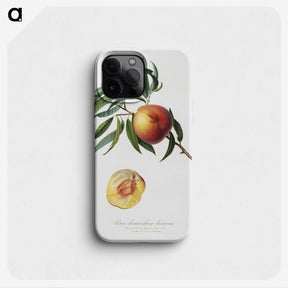 1-78_Pomona-Italiana_phone