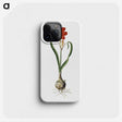 1-78_Robert-Jacob-Gordon_phone