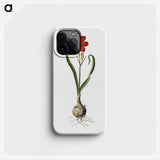1-78_Robert-Jacob-Gordon_phone