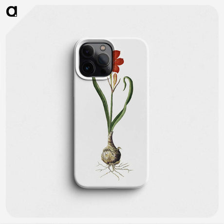 1-78_Robert-Jacob-Gordon_phone