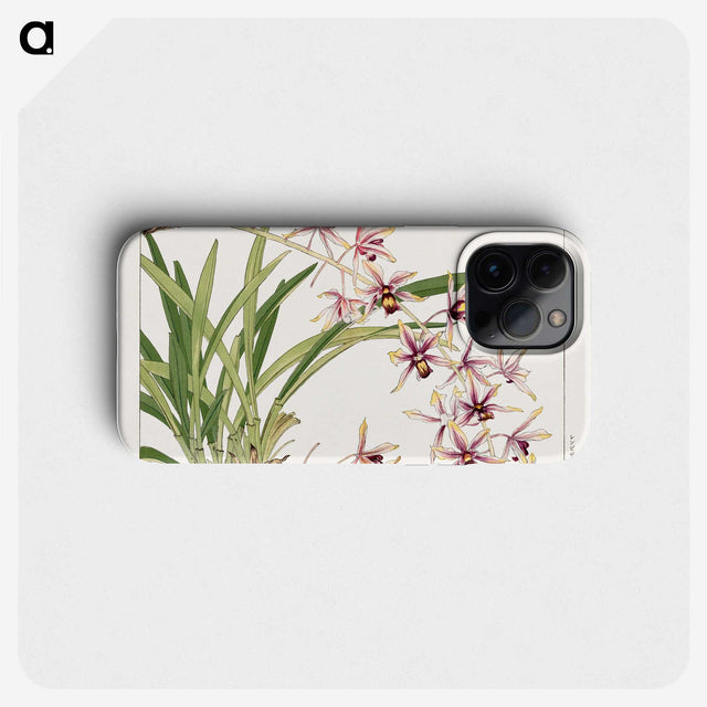 1-78_Seiyo-Soka-Zufu_phone