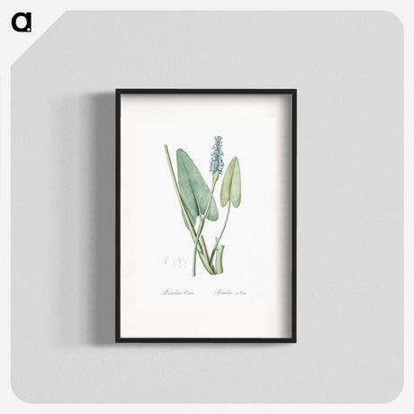 1-78_The-Lilies_blk