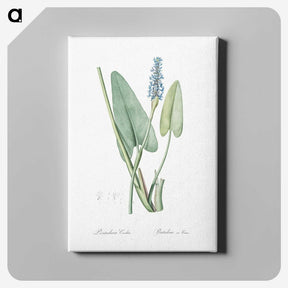 1-78_The-Lilies_canvas