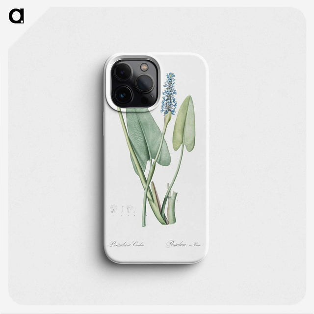 1-78_The-Lilies_phone
