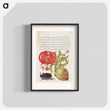アートポスター-Scarlet Turk's Cap, Rhinoceros Beetle, and Pomegranate from Mira Calligraphiae Monumenta
 - 書道のお手本 Poster.